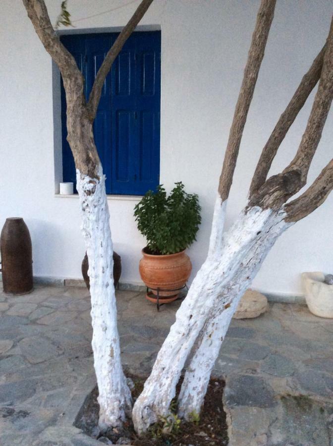 Anixi Apartment Astypalaia Exterior photo